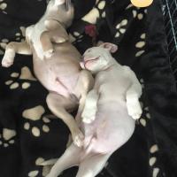 10344793_843915162361485_4859626565367459144_n