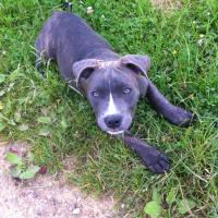 10383_333107990155641_1728869163_n