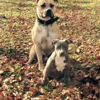 10410942_756719384423053_5698151010400321292_n - Copie - Copie