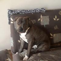 11058373_847457935340541_1567866601886041500_n