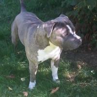 1150789_10201461475192825_1804601560_n - Copie - Copie - Copie