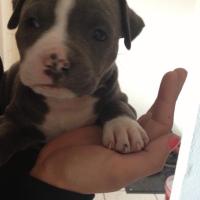 11917_485805471487378_1238035405_n