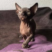 122160764 3562719493814358 2600926832033516268 o