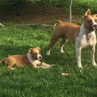 124779500 3627643877321919 4670080142070187984 n