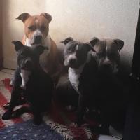 125209028 3624510044301969 201613747655555574 o