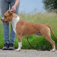 125302825 3627643803988593 2738358909124566297 n