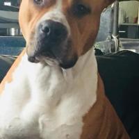 125319964 3627643883988585 4966251198710669520 o