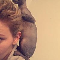 131106090 134942454906599 2618462411454262141 n