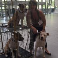 14199338 10206784789368778 1294189454096977947 n