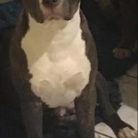 159997360 3763600707059530 1148333942723651917 n