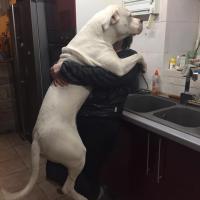 16681938 10208076390417997 3078529237614077177 n