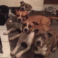 16864902 10208098245284355 1478944925925831357 n