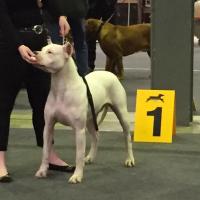 17799318 10208464398317952 1398608327131367566 n