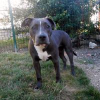 21425_371837539609878_1702080325_n