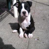 253271_588088647890181_1310067384_n