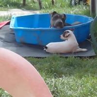 379639_4822451129621_2124833414_n