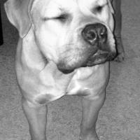 398605_110399349131635_1202694703_n