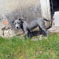 5386_337594926367473_524963474_n