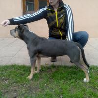 549565_515336651886006_427704348_n