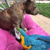 58463196 10213501948733564 474335011349200896 n