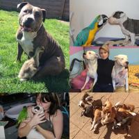 59685203 10213604487536970 5268261319689109504 o