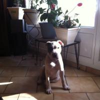 66699_391270780984728_1806586024_n