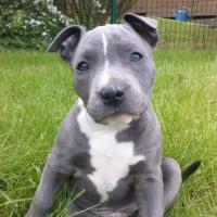 931262_332535933540039_225363813_n