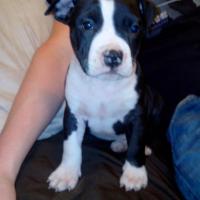 935330_451119481641057_1287409857_n