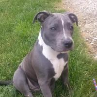 936400_349032065224984_1084067384_n