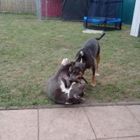 944636_10200166943686772_1262736982_n