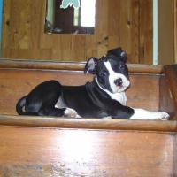 969222_597930736905972_305752088_n