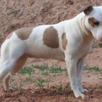 fd8a5e44-d00f-eac4-c192-c02e68d1f0e4