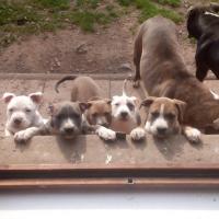 IMG_20140602_085659 - Copie