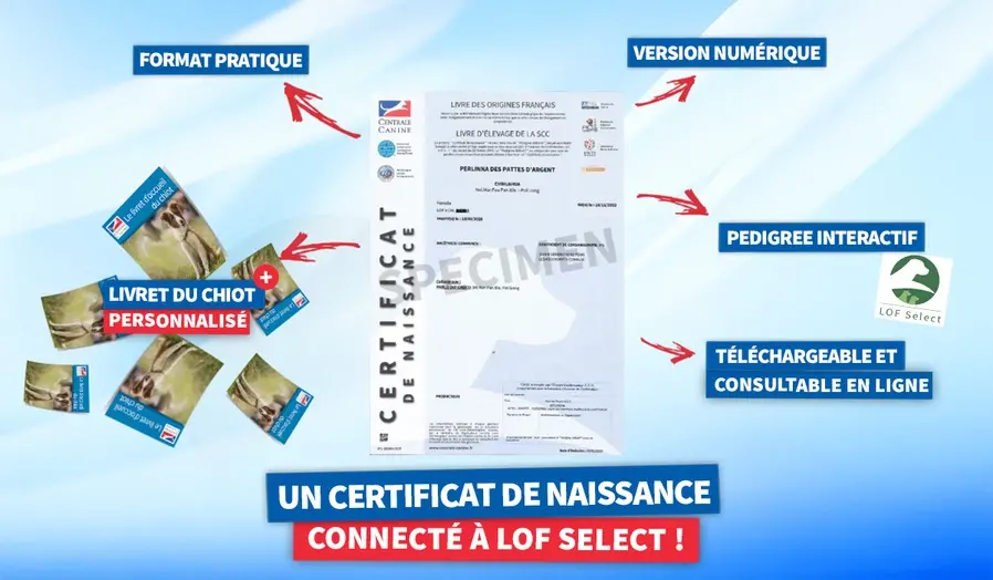 Cn connecte lof select vd jpg